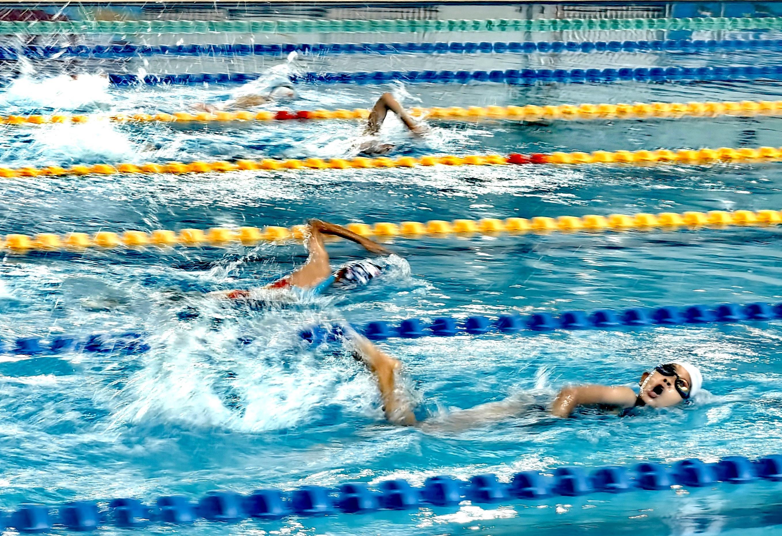 游泳赛事精彩瞬间盘点,年度回顾震撼登场 游泳赛事精彩瞬间盘点,年度回顾震撼登场