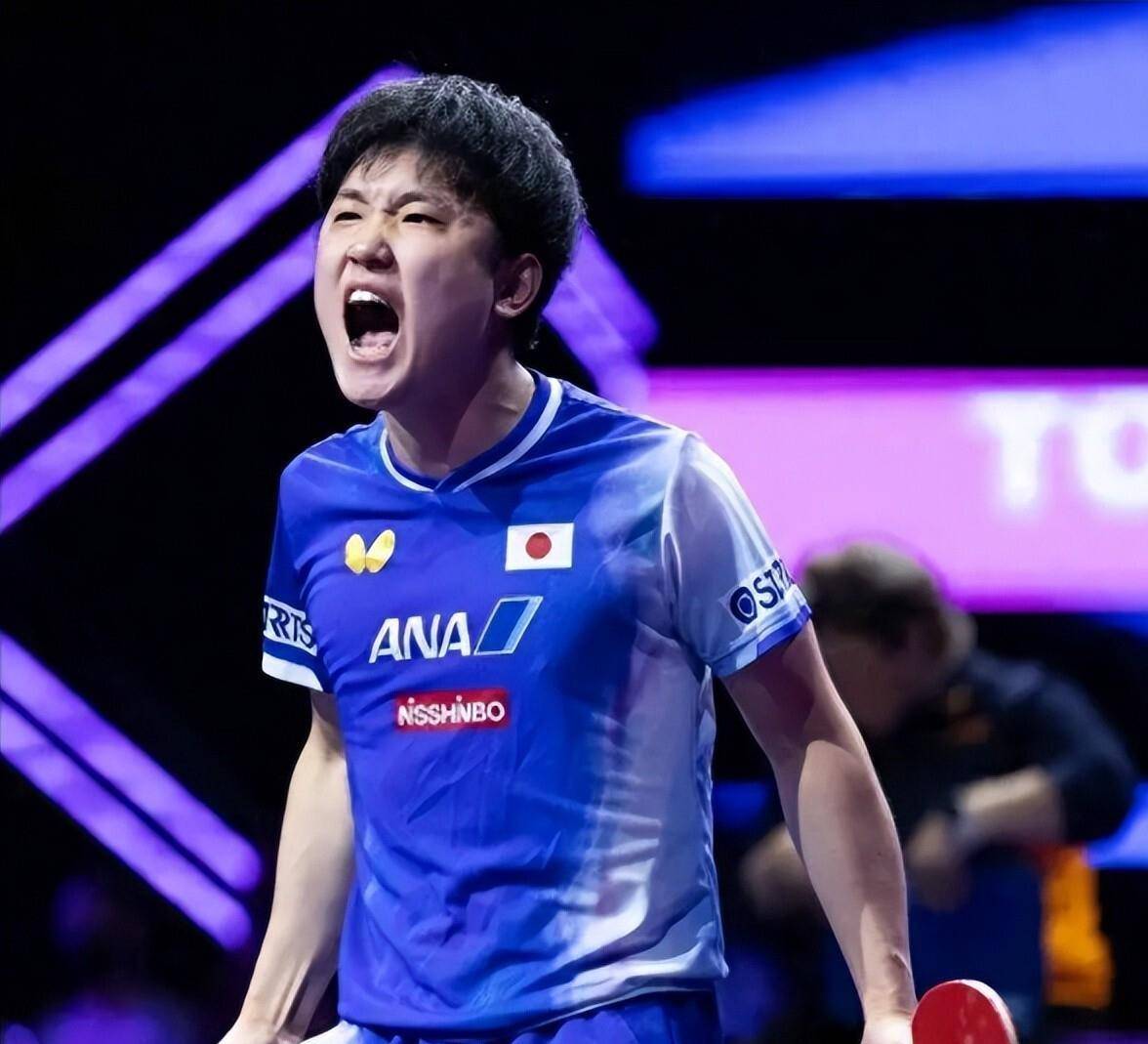 德国队完胜中国队，张本智和高光表现的简单介绍