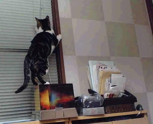 街道与绿茵，当F1赛车线切割巴塞罗那时，AC米兰在此处画下荣耀终章