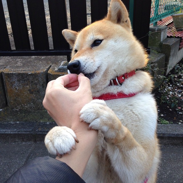 孤星刺穿北境寒—德罗赞末节19分导演史诗级爆冷