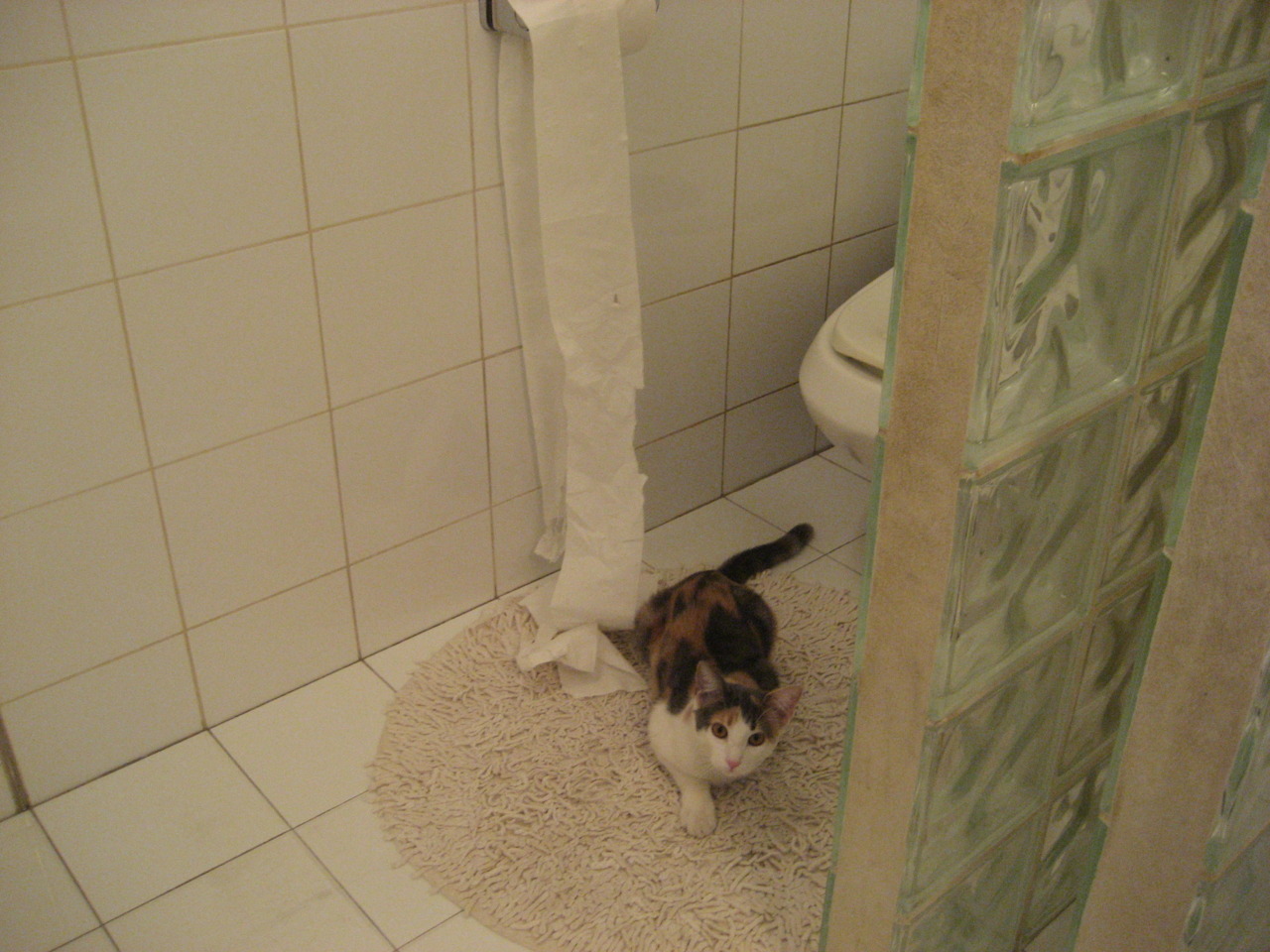 雷恩的七分钟，当一波带走从战术变成艺术