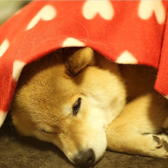 唯一性绽放,班凯罗奥运关键战接管比赛,篮网压制爵士的统治力再现