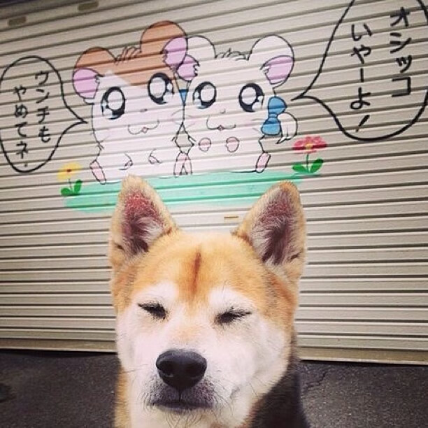 节奏掌控与关键先生,骑士制服76人,库里闪耀赛场—篮球战术与个人英雄主义的完美交响