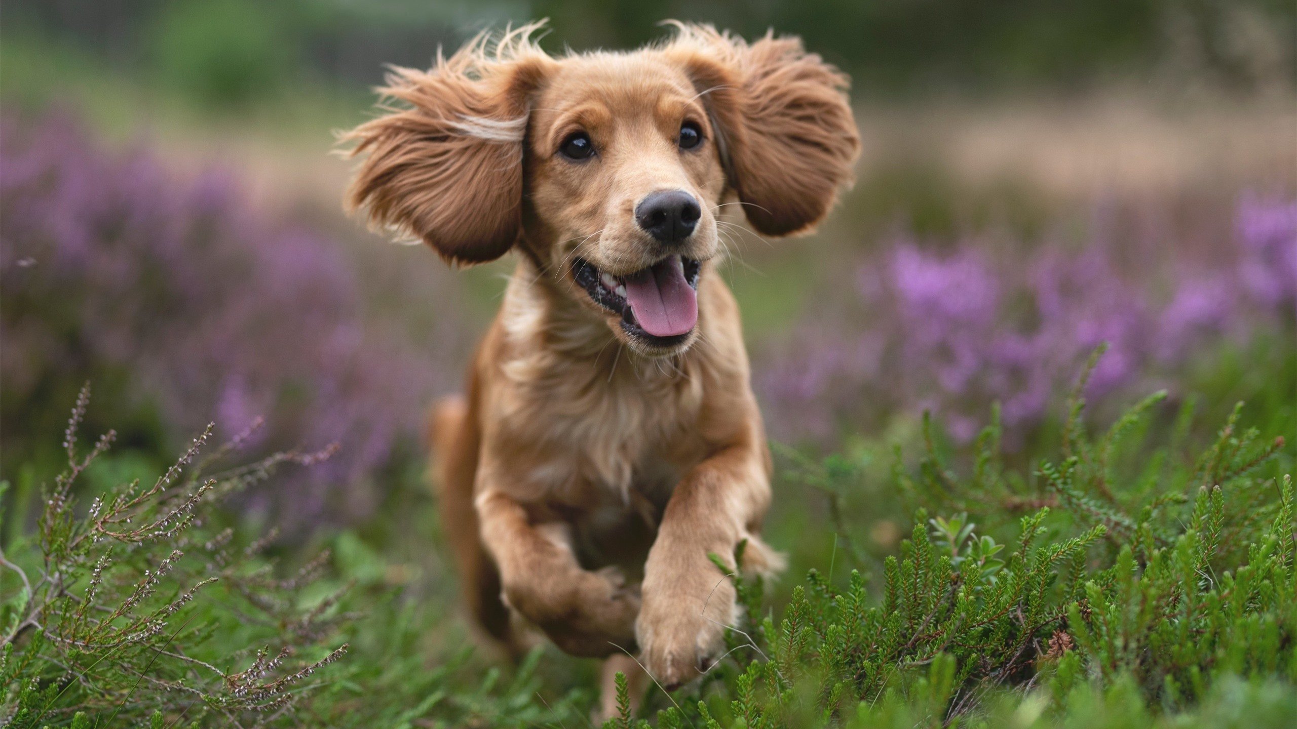 时间褶皱中的绝杀，保罗如何用唯一的方式终结了凯尔特人