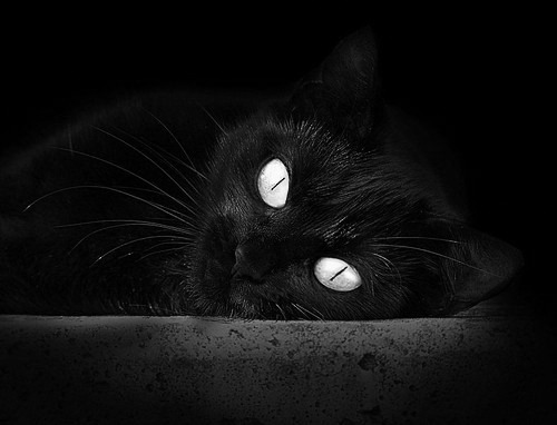 角斗场上的终章，杰伦·格林化身公牛刺破广厦铁壁