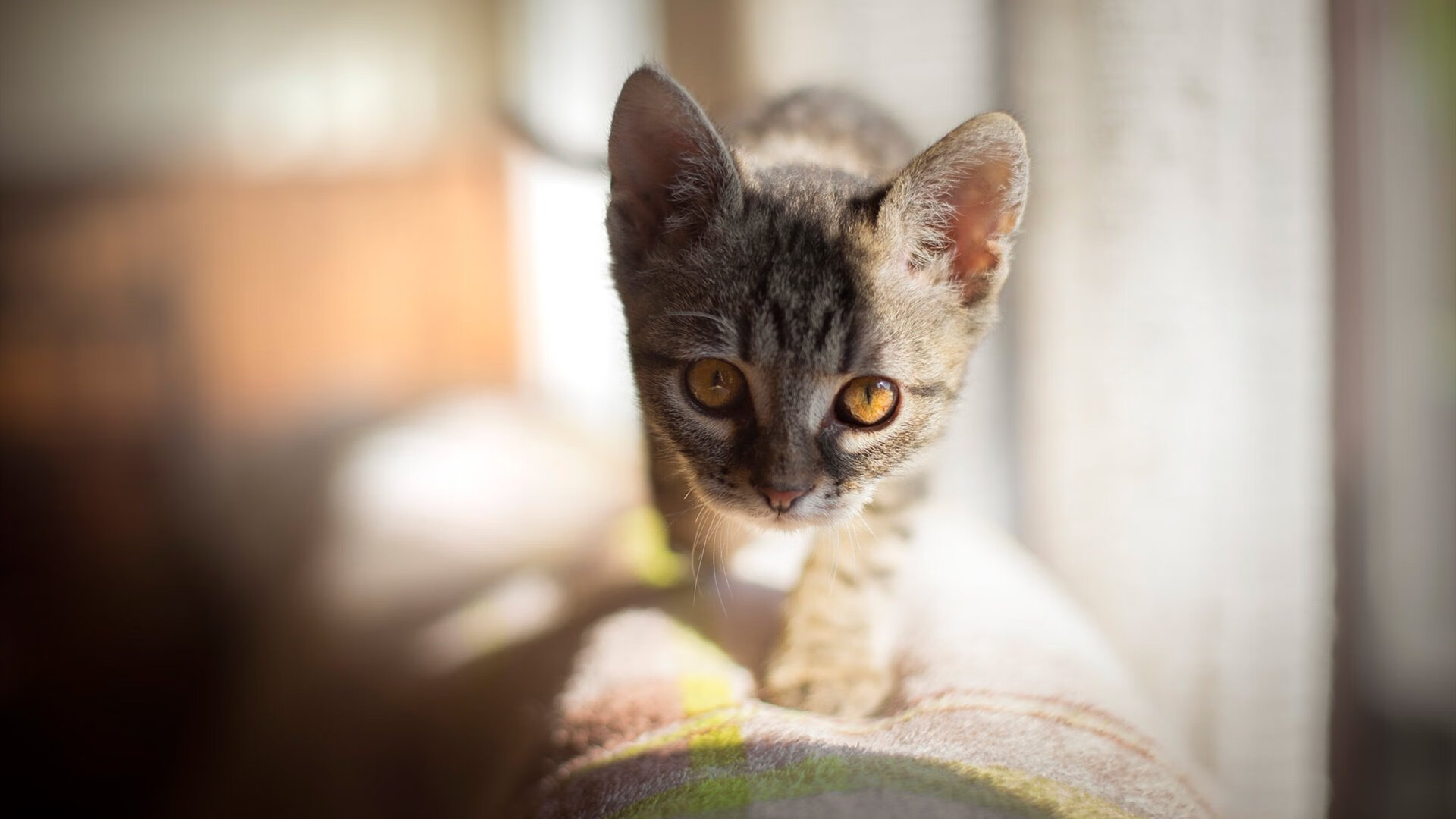 群星混战之夜，他如何破壁而出