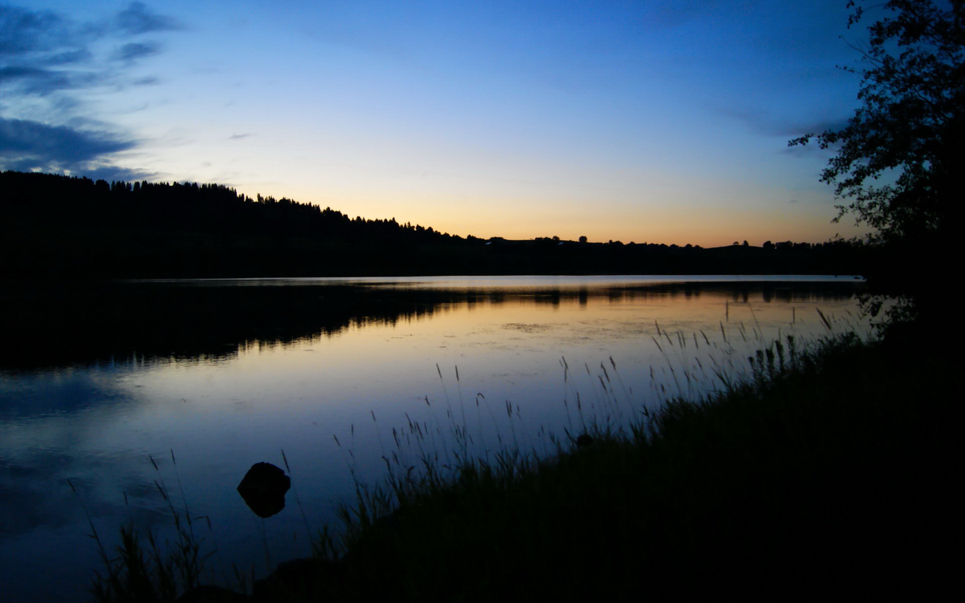 米切尔时刻诞生，当太阳在华盛顿升起，一颗新星定义了比赛