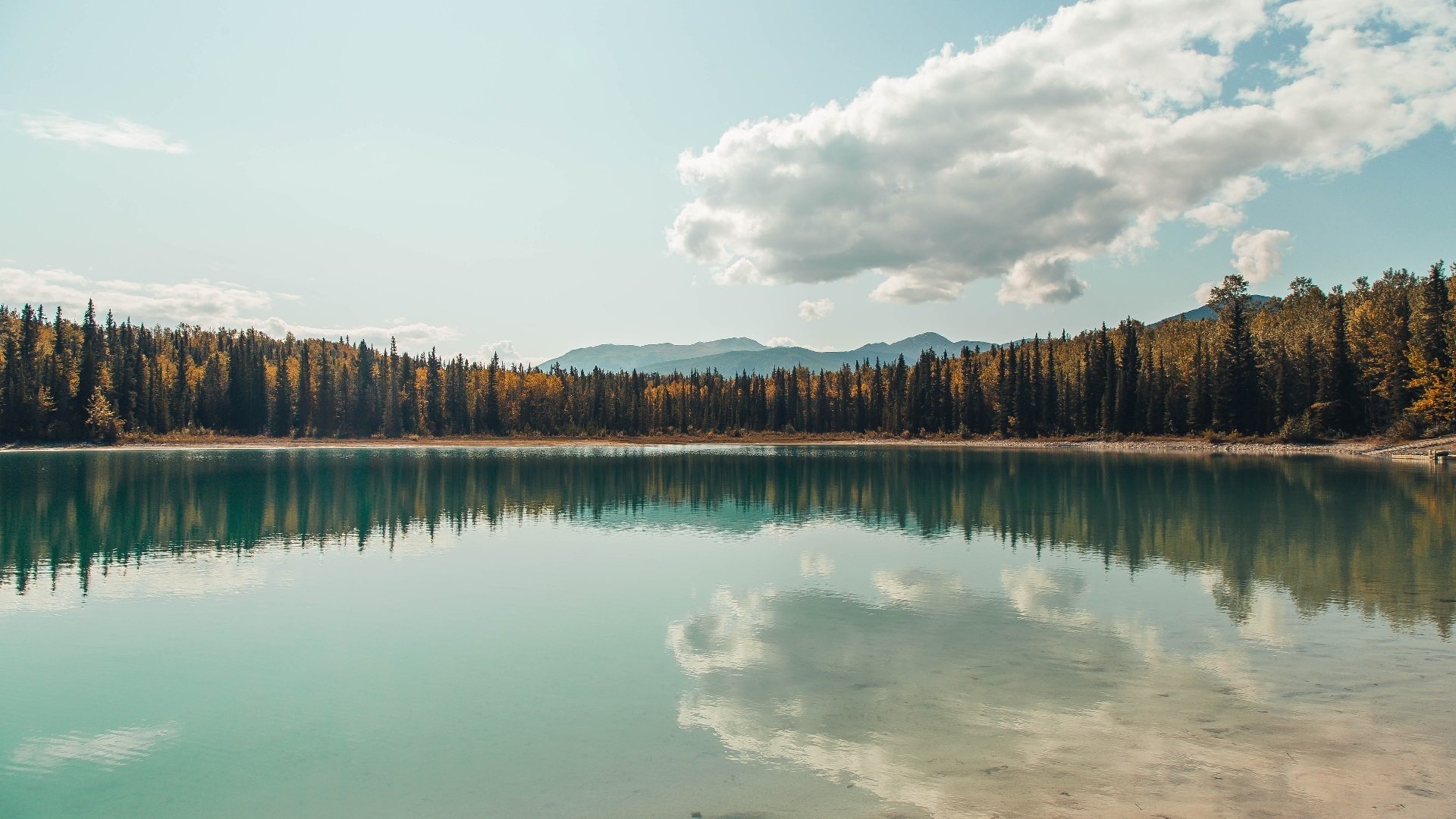 球星闪耀、整体统治，努涅斯与卡塔尔共同撰写的胜利之章