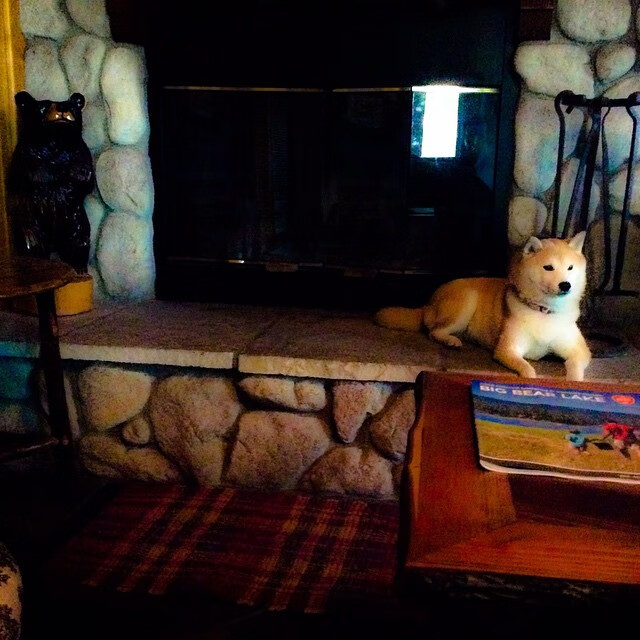 羽翼与红海，当欧文的个人主义撕裂辽宁的钢铁长城