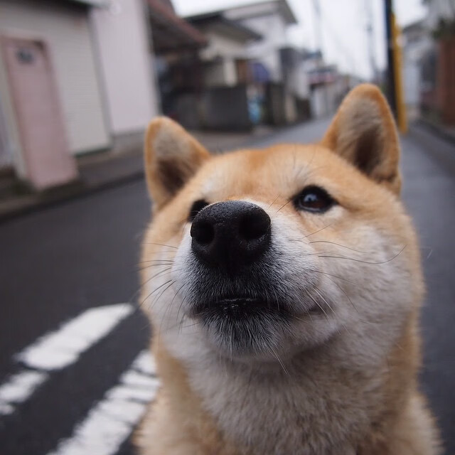 改写版图！摩洛哥力克瑞典闯关，萨卡于世界排名争夺战关键时刻征服赛场