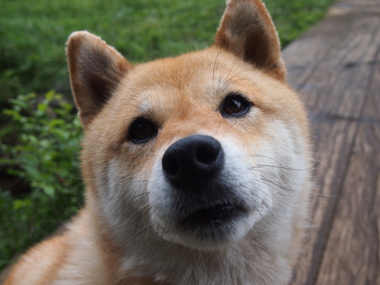 蓝领奇兵轰6记三分轰垮篮网！掘金23分狂胜背后的X因素