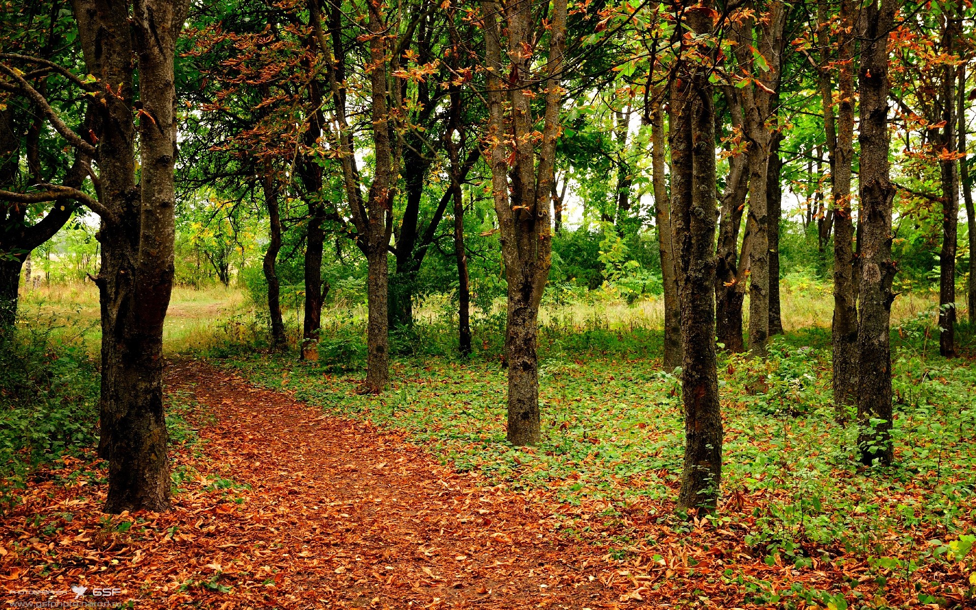 双城记，圣城利刃出鞘，米兰射手登基—体育之夜的平行赞歌