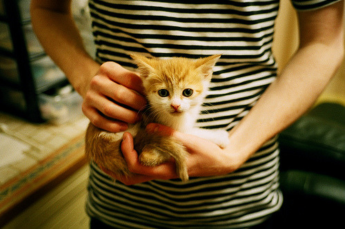 冰与火之歌，从德甲争冠的焦灼到CBA爆冷的震撼