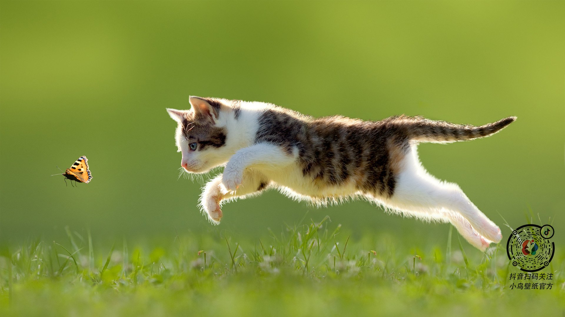 奥利维耶的神勇爆发，爱尔兰对阵几内亚的胜负手