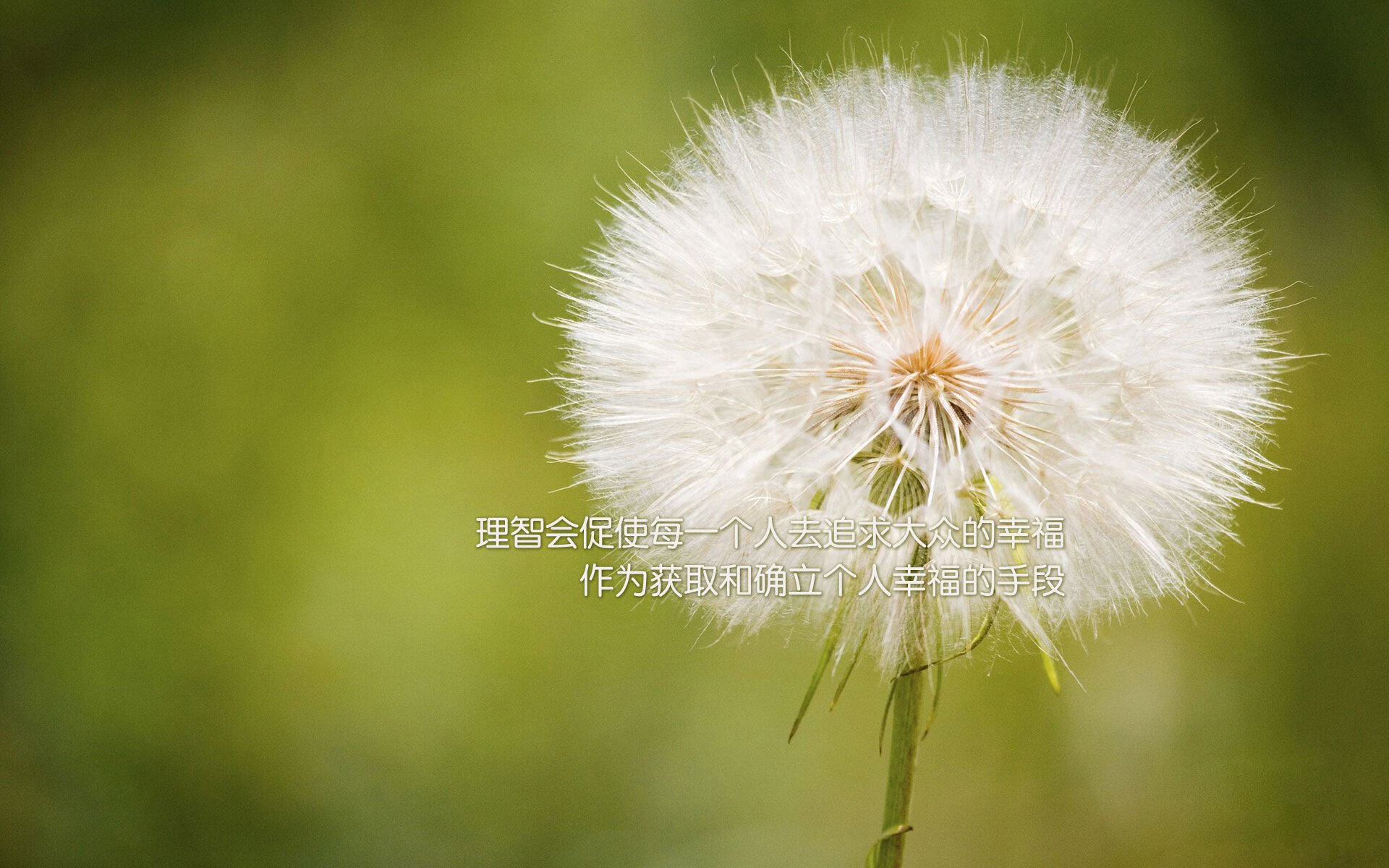 青春的交响与命运的单行道,2026,佩德里如何用一场比赛为两个足球国度写下唯一的注脚