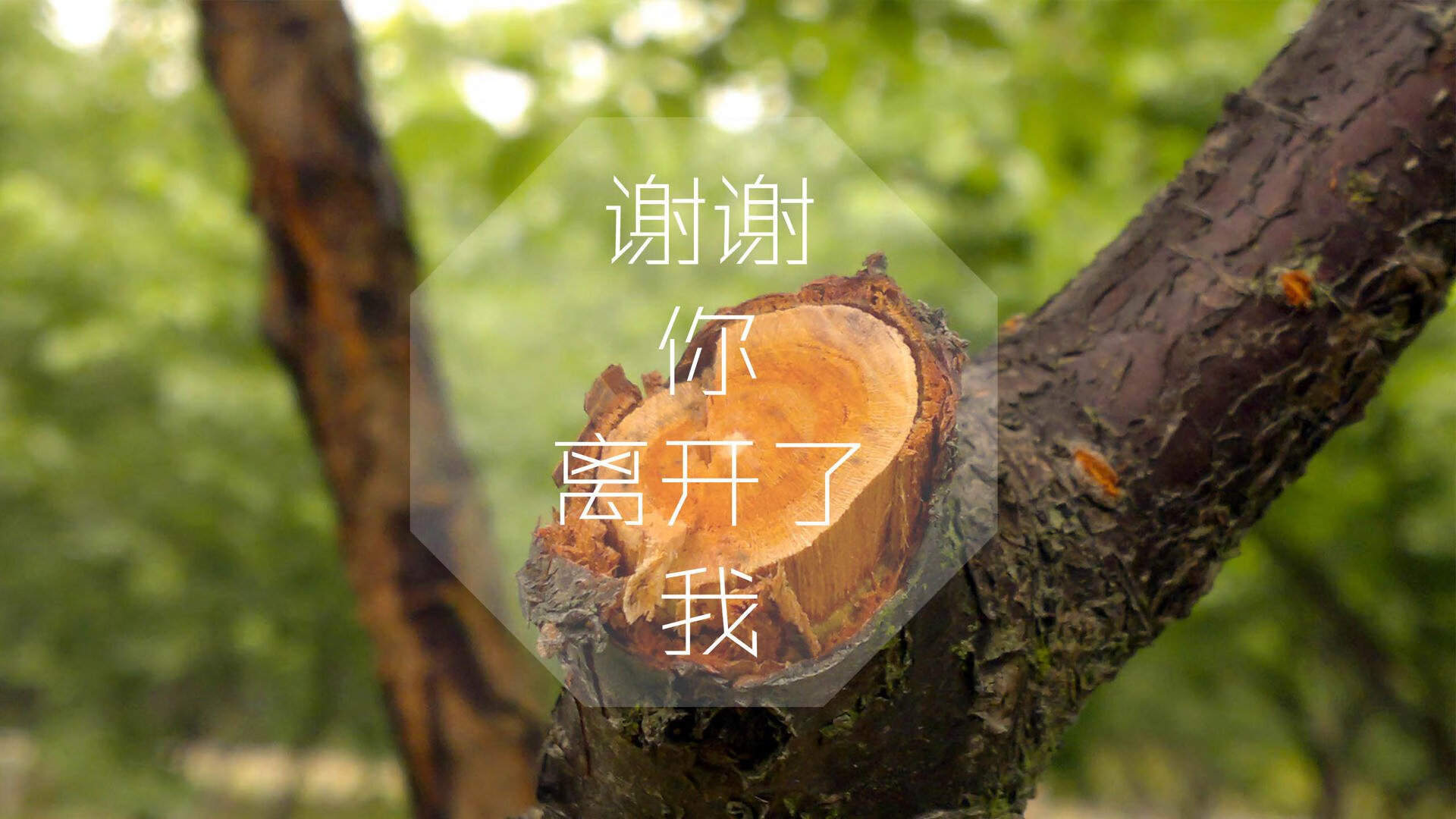 血脉偾张!2026世界杯B组惊天一战,非洲黑星碾压蓝衣军团,苏神不老传说闪耀,混乱中诞生最纯粹足球