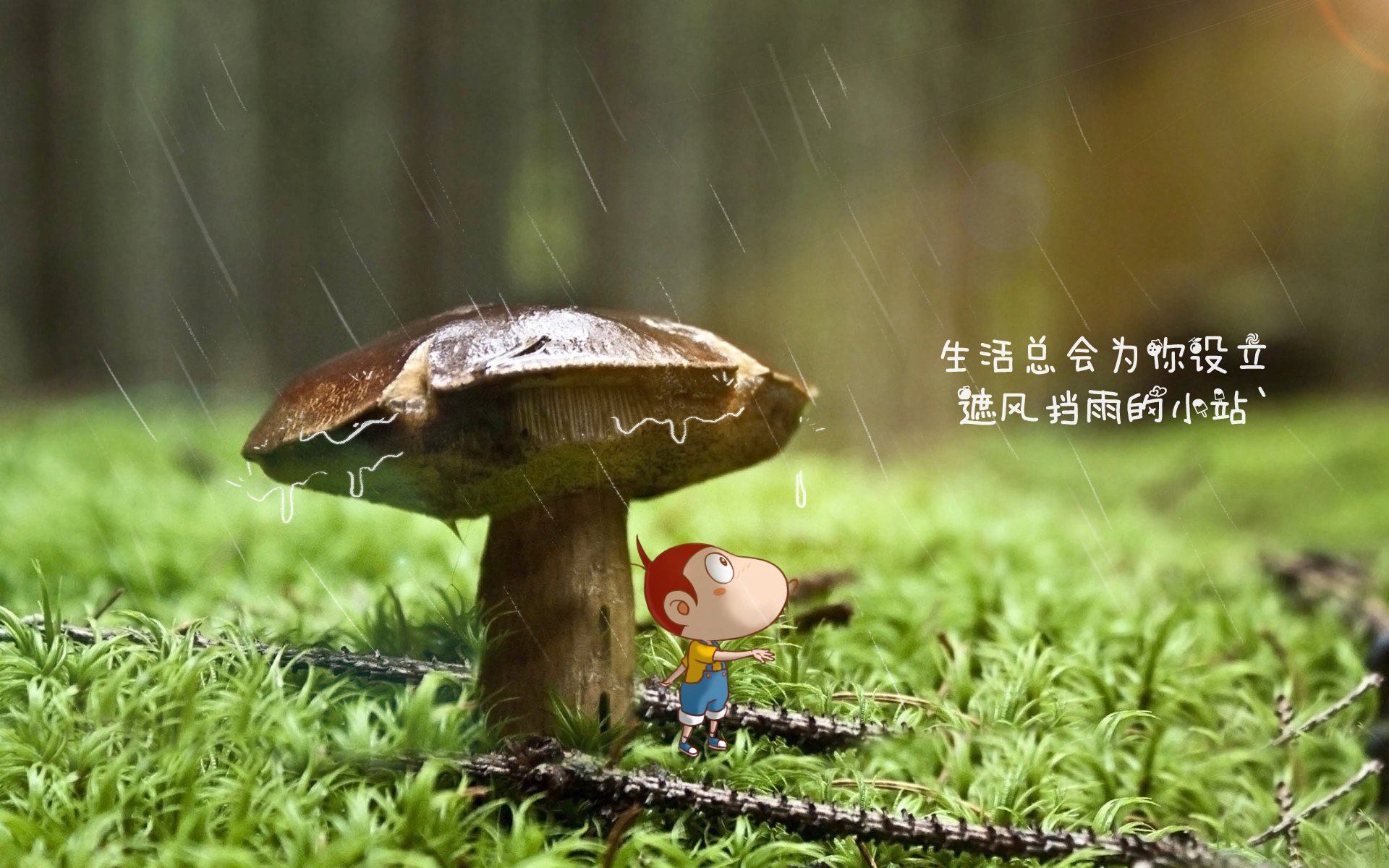 德里奇迹,2026世界杯A组,萨内压哨绝杀,印度队史首胜瑞典谱写逆天神迹
